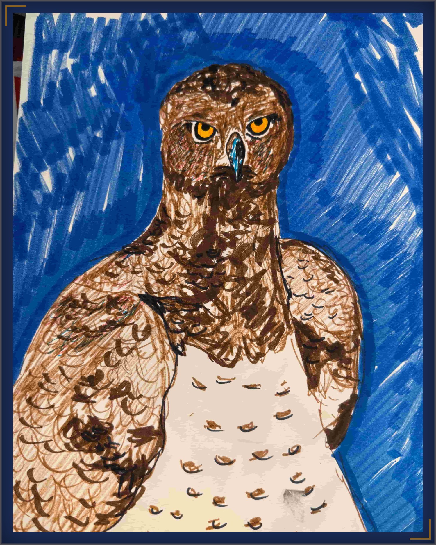 Hawk sketch by Rene DeHaan, marker