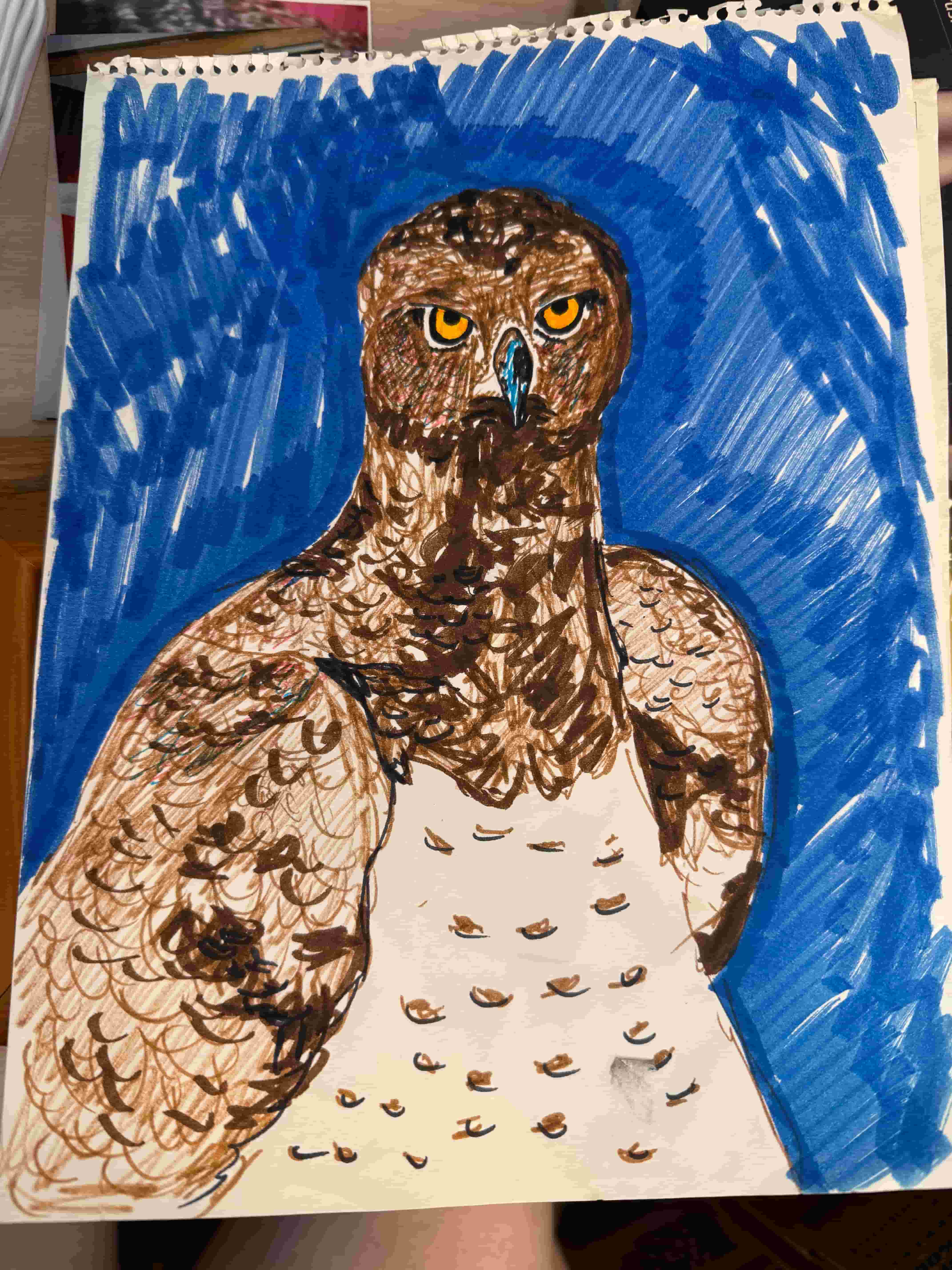 Hawk sketch by Rene DeHaan, marker