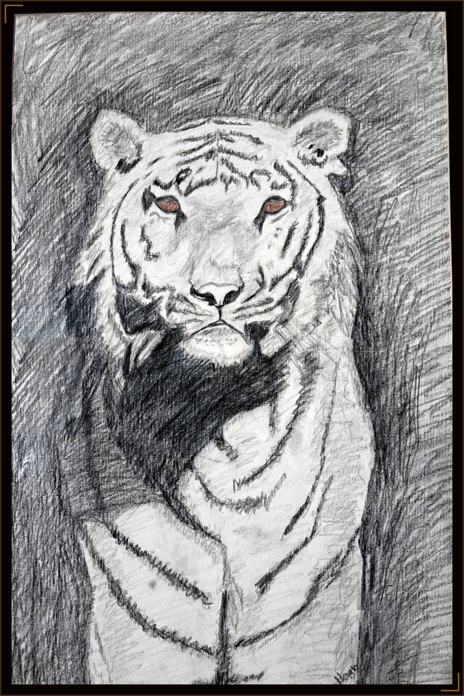 Pencil drawing of a white tiger by Rene DeHaan